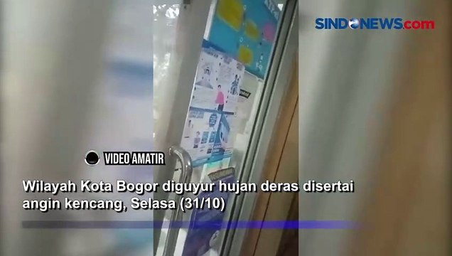 Ngerinya Hujan Deras dan Angin Kencang di Bogor, Belasan Pohon Tumbang