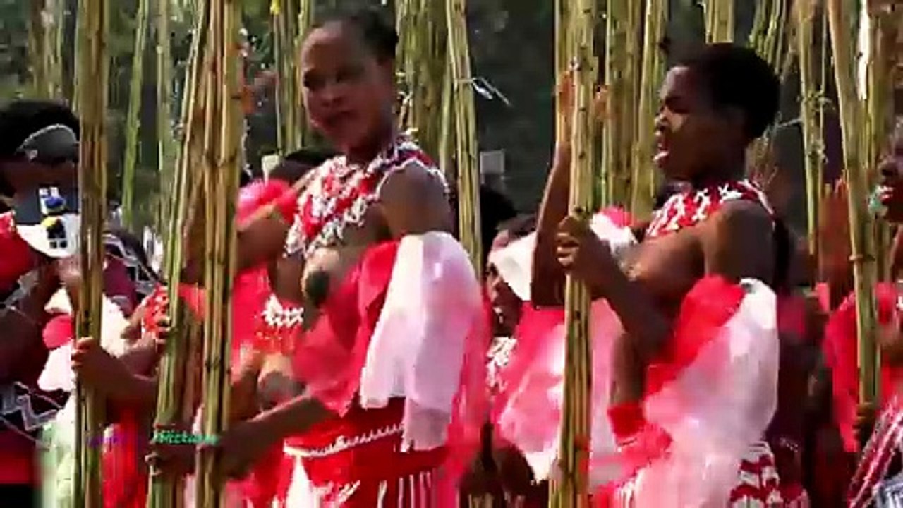 Clip- 084 _Zulu Dance at the Reed Dance Ceremony