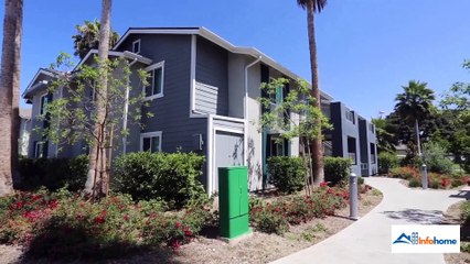 Pointe Luxe Apartment Homes: Contact, Pricing, Location, Apartment Features & More