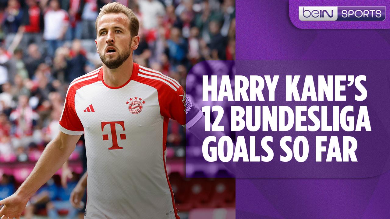 ALL 12 of Harry Kane's Bundesliga goals so far