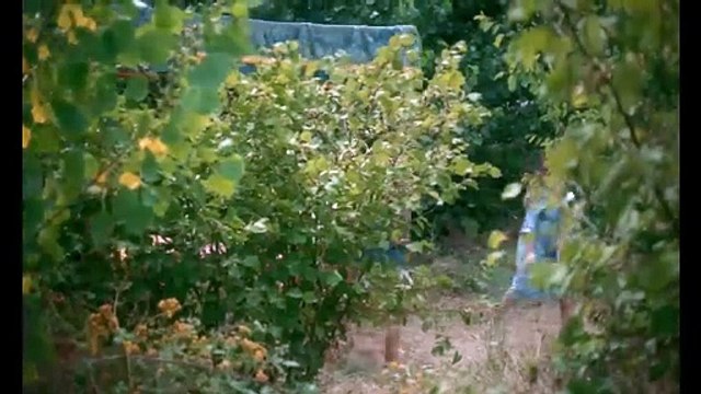 Les Filles vont bien Bande-annonce (ES)