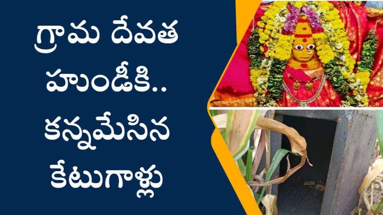 చిత్తూరు జిల్లా: రెచ్చిపోయిన దొంగలు... పంట పొలాల్లో హుండీ..