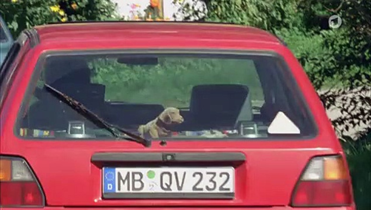 Grüß Gott, Herr Anwalt