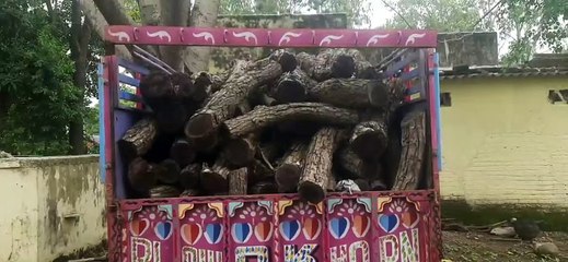 सागवान के बाद अब खेर, महुआ की बढ़ी तस्करी