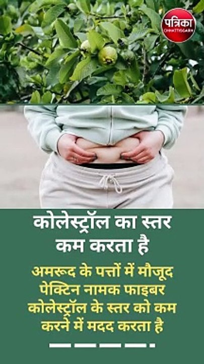 सुबह-सुबह चबा लें अमरूद की दो पत्तियां , मिलेंगे 10 स्वास्थ्य लाभ