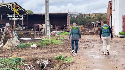 Operación Pacquiao de la Guardia Civil en Castilla y León
