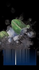 Tips to Improve Running Form