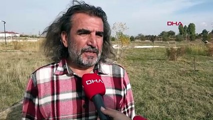 Van'da Flamingoların Göç Hazırlığı