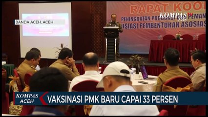 Vaksinasi PMK Baru Capai 33 Persen