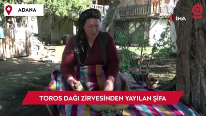 Toros Dağı zirvesinden Türkiye'ye yayılan şifa: Andız pekmezi