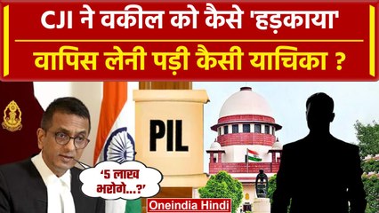 CJI DY Chandrachud : वकील को Supreme Court में ऐसी डांट पड़ी कि याचिका ही वापस ले ली |वनइंडिया हिंदी