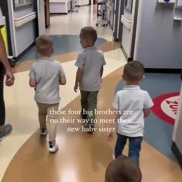 Ces 4 grands frères sont sur le point de découvrir leur petite sœur pour la première fois !