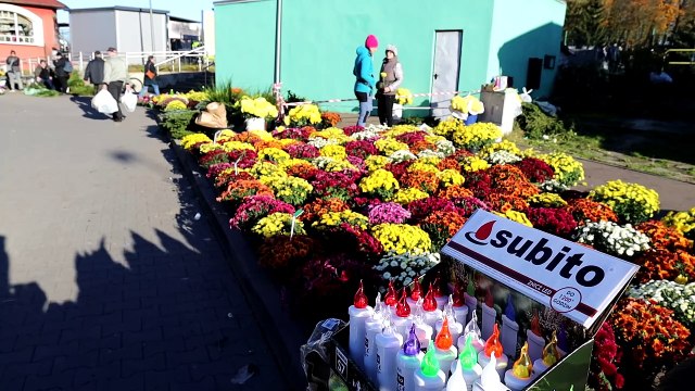 Wszystkich Świętych w Szczecinku