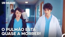 Uma Série De Problemas Que Surgiram No Processo - Um Milagre Episódio 10