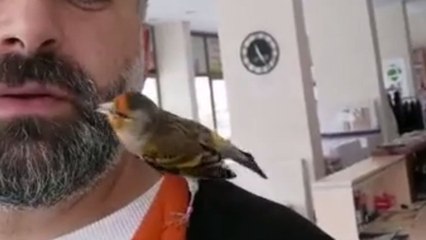 Man and his adorable bird make a case for the cutest duo of the year