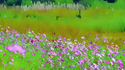 2 Hours of Relaxing Flowers