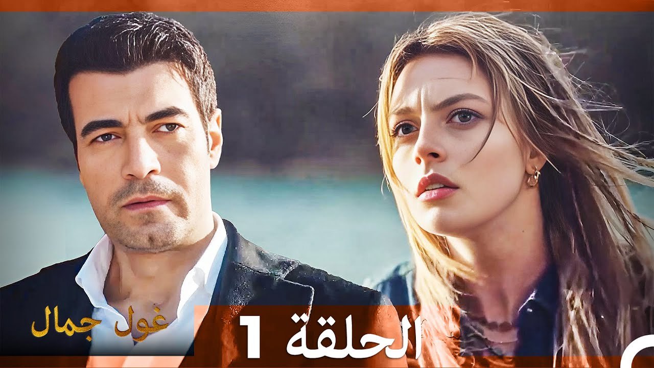 1-dailymotion