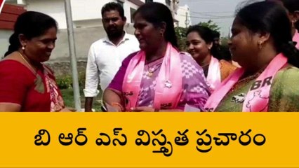 సూర్యాపేట: జిల్లా కేంద్రంలో బిఆర్ఎస్ పార్టీ విస్తృత ప్రచారం