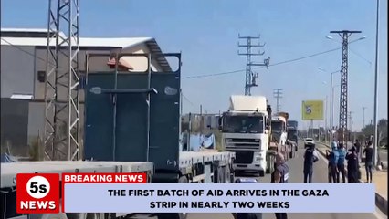 The first batch of aid arrives in the Gaza Strip in nearly two weeks