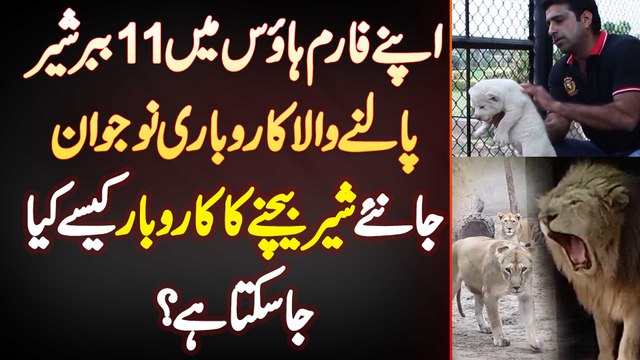 Apne Farmhouse Me 11 Lion Palne Wala Naujawan - Lion Sale Karne Ka Business Kaise Kiya Ja Sakta Hai?