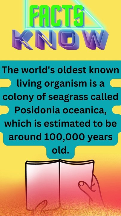 Secret facts #3