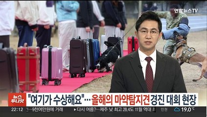 "여기가 수상해요"…올해의 마약 탐지견 경진대회 현장