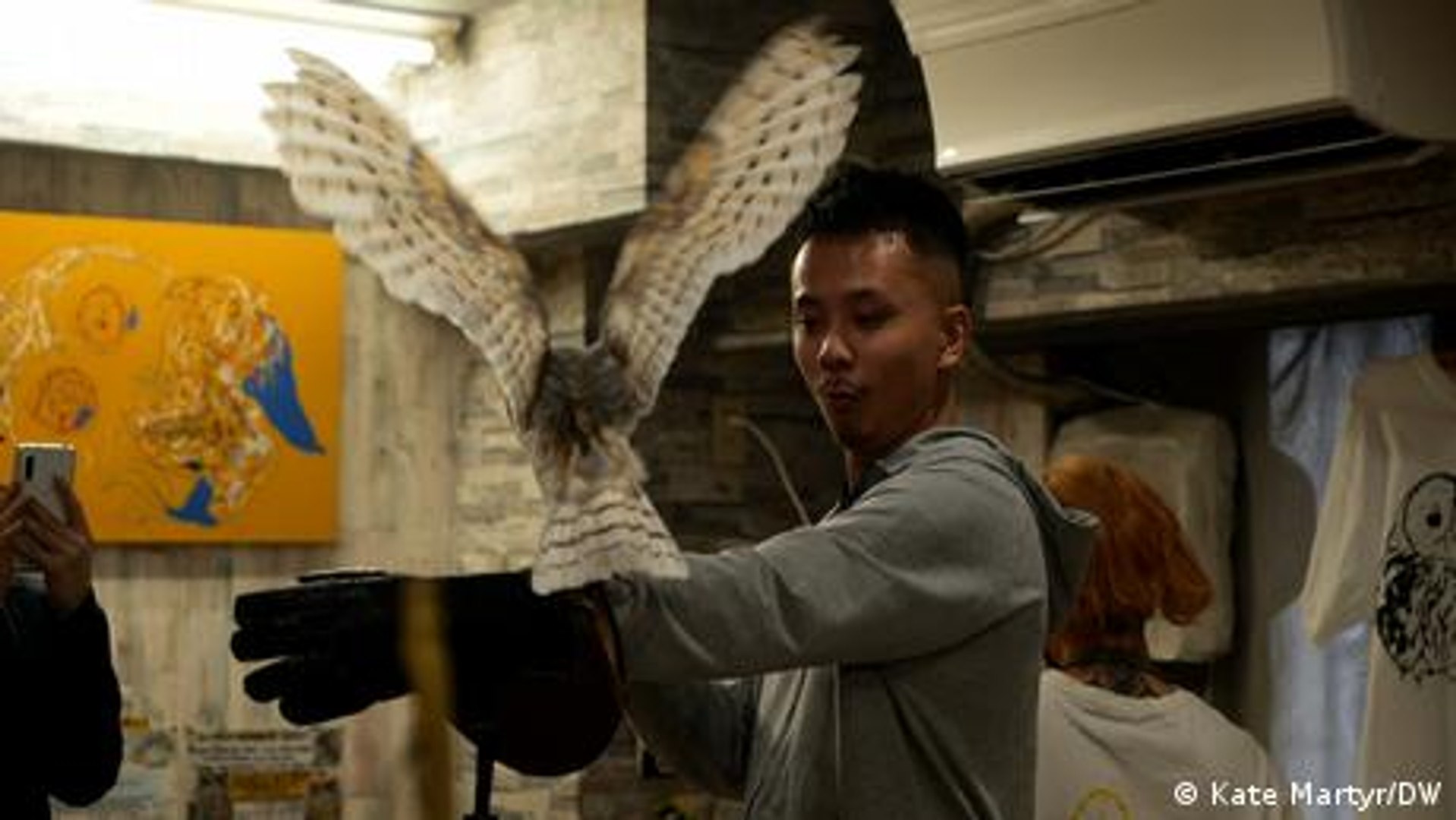⁣How Japan's exotic pet cafes harm animal conservation