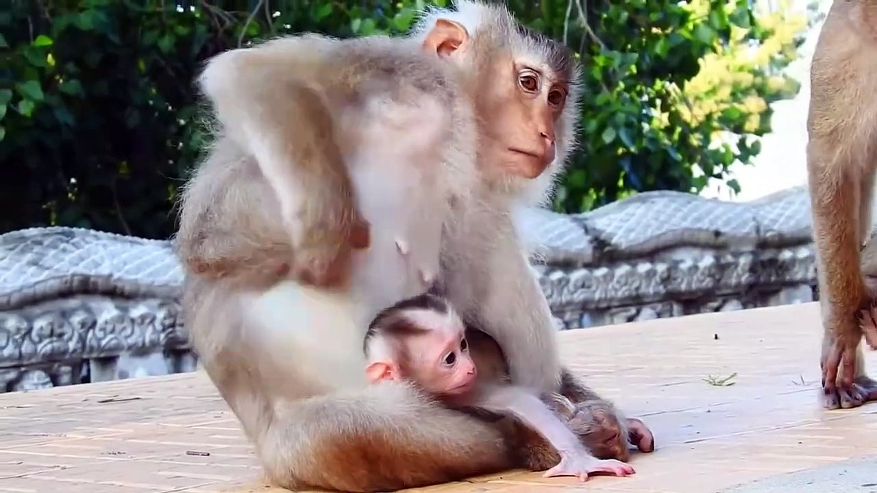 Adorable Baby Tries to Leave Mommy to Play Around