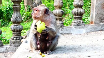 Adorable Baby Tries Harder To Go Toward Mother Sarha