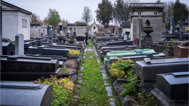 GALA VIDÉO - Jane Birkin, Geneviève de Fontenay, Marion Game... Ces décès qui ont endeuillé 2023