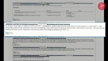 Dominic Cummings discusses Helen MacNamara Whatsapp during Covid Inquiry