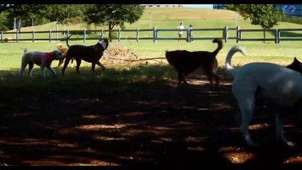 Three Headed Beast (2022) sub indo