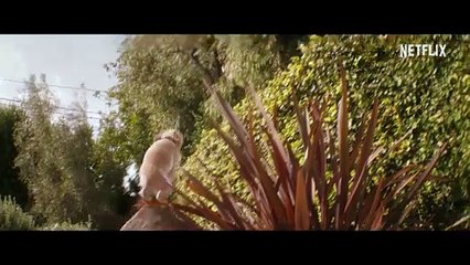 Familia revuelta - Tráiler oficial Netflix