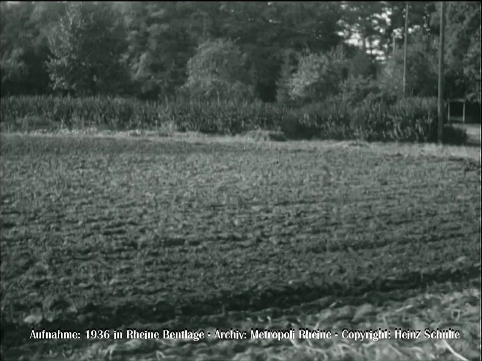 155 Eggen mit der Saategge