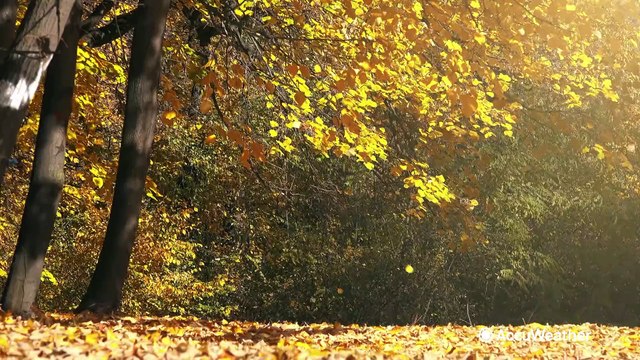 Explaining the AccuWeather RealFeel® Temperature