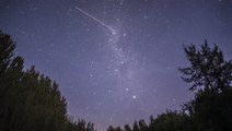 Look Up! The Taurid Meteor Shower Peaks Next Week—Here's How and When to See It