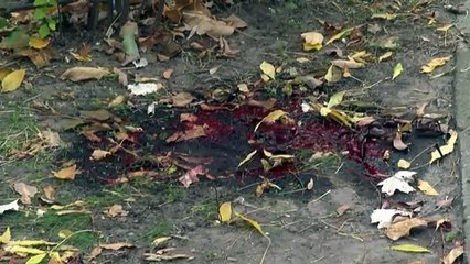 Ucrânia denuncia maior bombardeio russo desde o início do ano