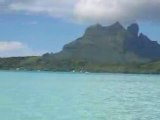 Stingray Feeding on Bora Bora