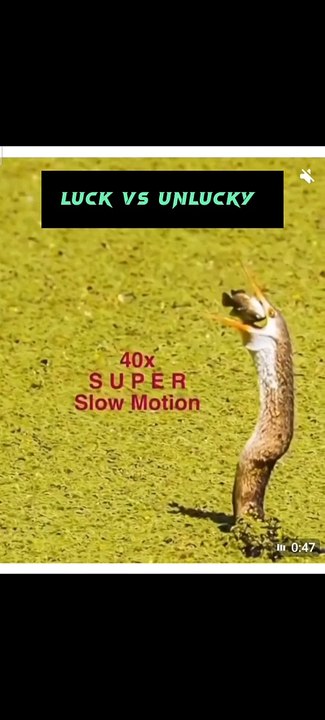 Slow motion