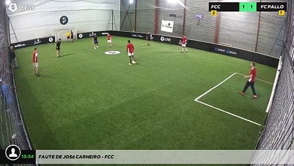 Faute de José CARNEIRO - FCC