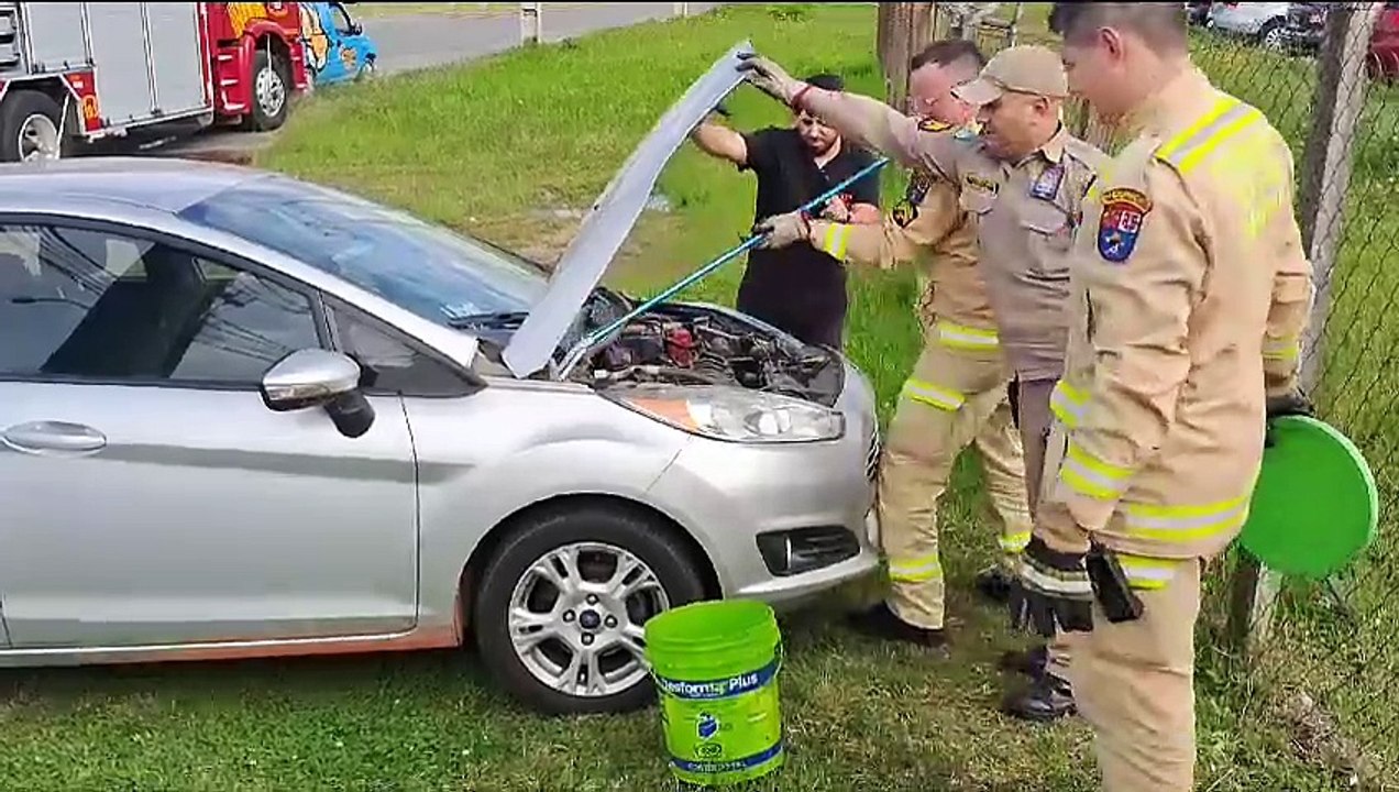 Trabalhadores veem cobra subindo em para-brisa de carro e chamam Bombeiros para resgate na RMC