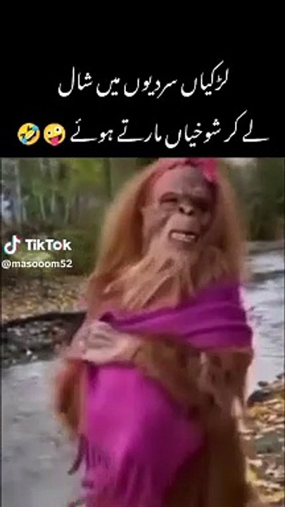 Funny video
