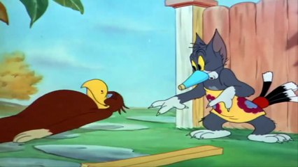 Tom and Jerry - Flirty Birdy - (Jerry Games)