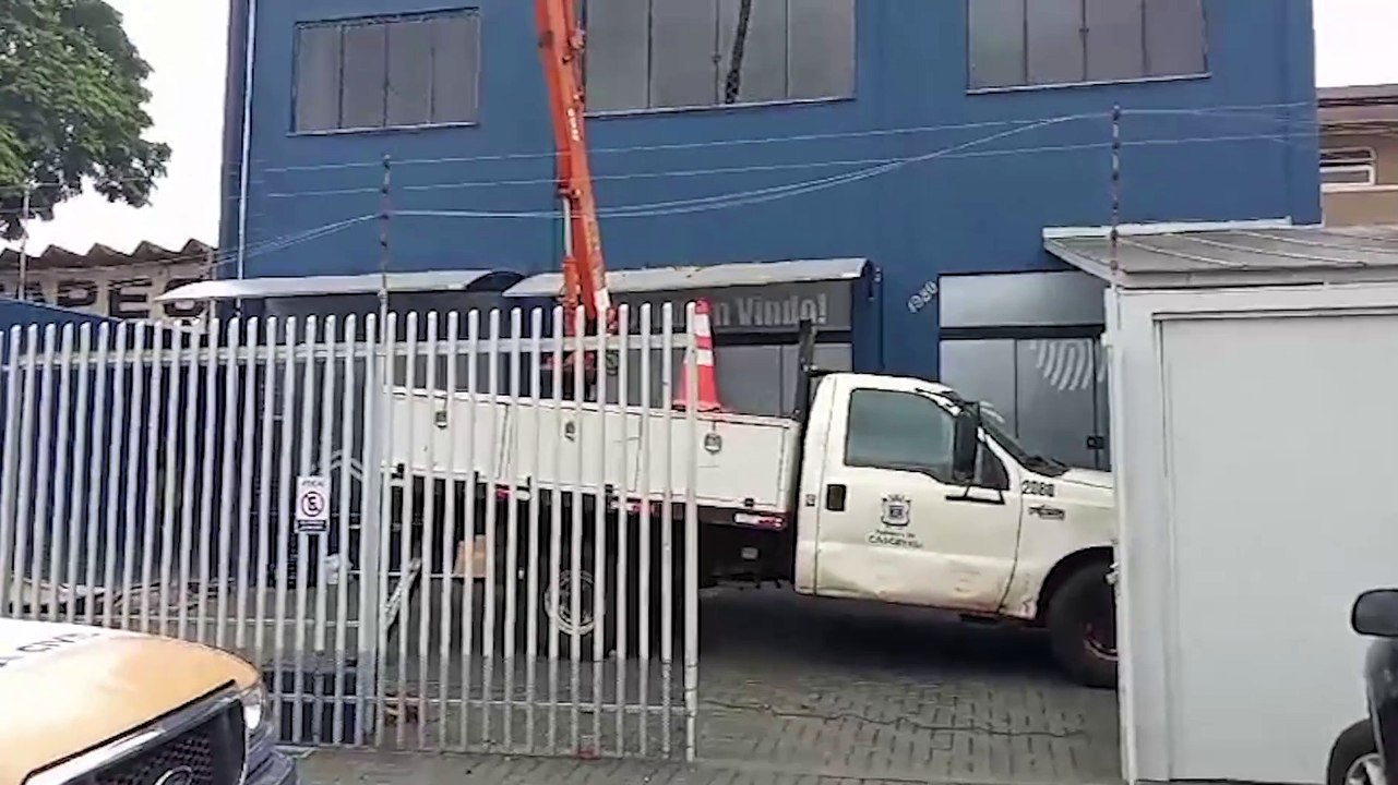 Utilizando um guincho, Defesa Civil retira enxame de abelhas no Pacaembu