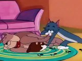 Tom and Jerry - Volume 5 - Ep23 - Toms Photo Finish HD Watch