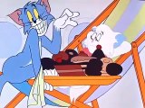 Tom and Jerry - Volume 6 - Ep07 - Calypso Cat HD Watch