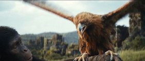 LA PLANÈTE DES SINGES Teaser (2024)