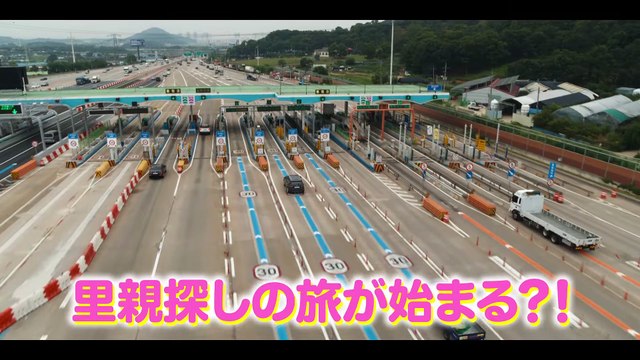 映画『マイ・ハート・パピー』特報