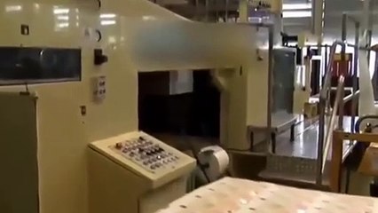 Vota que muda? | Artigo Libertário - 10/10/19 | ANCAPSU