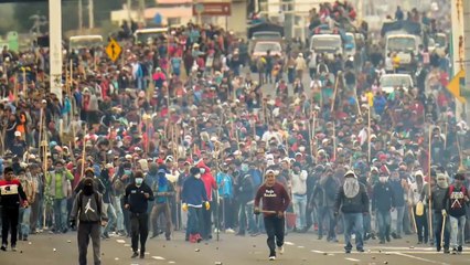 O mundo é um grande brasilzão, infelizmente | Tapa Libertário - 13/10/19 | ANCAPSU